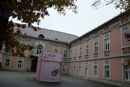 Vom Ennstal ins Granitztal- Aspekte zur Eisenzeit in der Steiermark und Kärnten